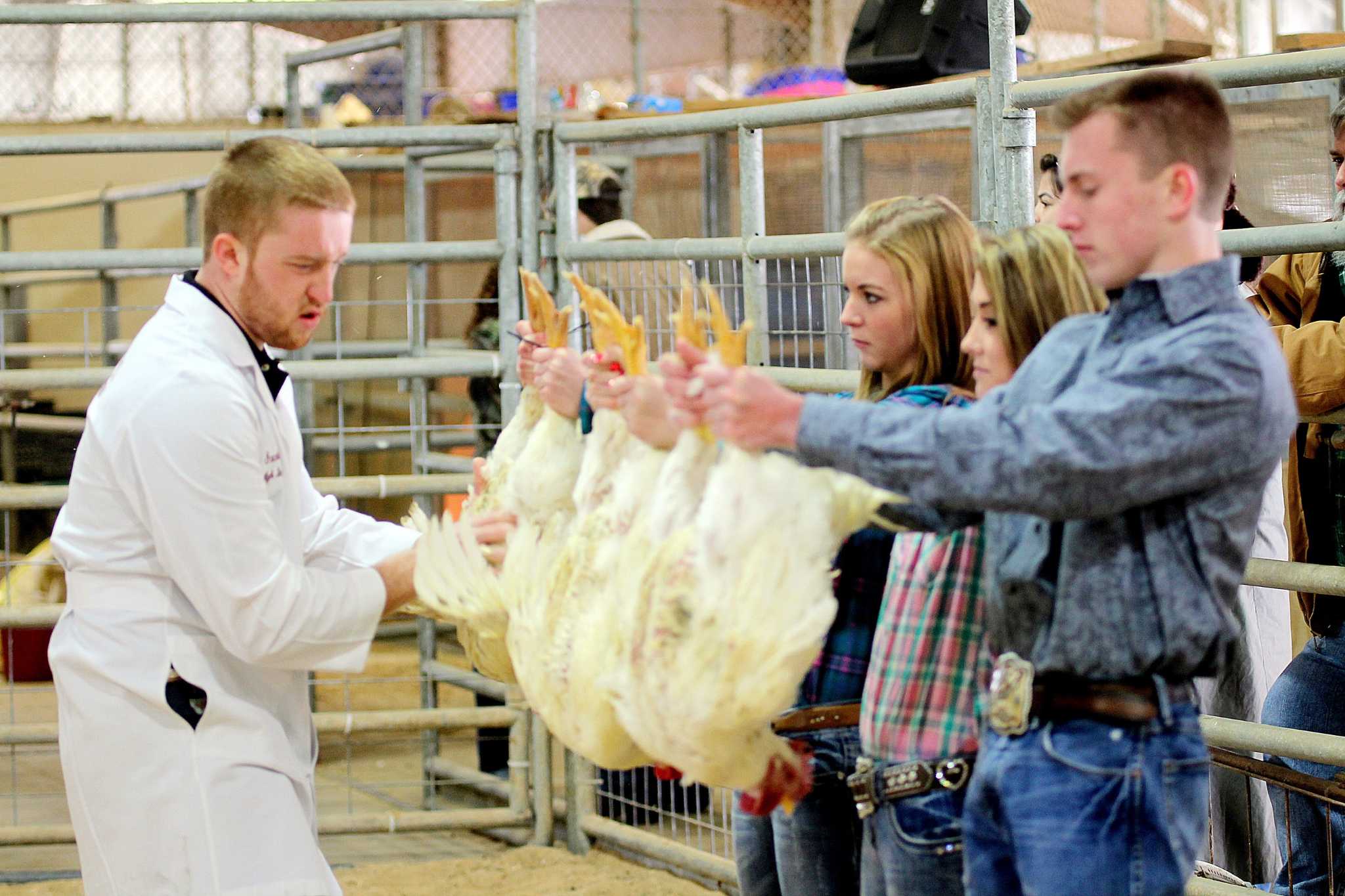 ccisdlivestockshowz